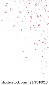 Red Peach Summer Vector White Background. Beauty Rose Illustration. Beautiful Lotus Spring Frame. Delicate Cherry Tender Pattern.