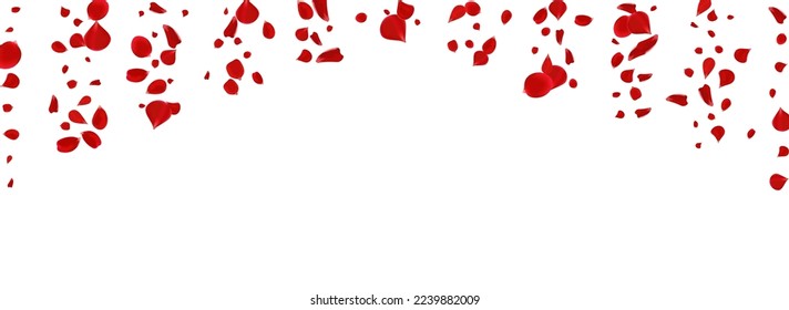 Vector De Licitación Rojo Peach Fondo Panorámico Blanco. Caída de la textura de Sakura. Hermoso telón de fondo de primavera floral. Patrón de caída de cerezo rosado.
