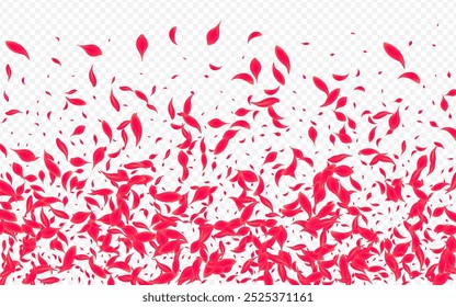 Fondo transparente de Vector de melocotón rojo. Anuncio Flying Rose. Plantilla japonesa floral hermosa. Delicado telón de fondo de la flor de belleza.