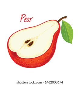 Red Pear, fruit doodle drawings vector illustration.