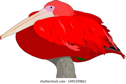 Red pelican sits on a tree. Fiction in vector.