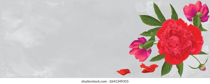 red peonies with green leaves and buds, and red individual petals on a gray grunge background.Close-up, isolated