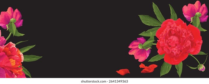 red peonies with green leaves and buds, and red individual petals on a black background.Close-up, isolated