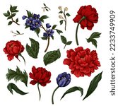 Red peonies, leaves and other flowers isolated. Vector