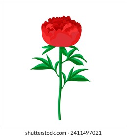 Red peony elements. Hand drawn, vector botanical flora for decoration, wedding invitation, patterns, wallpapers, fabric, wrapping paper. Vector illustration.