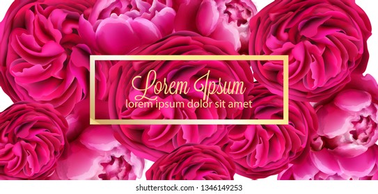 Red peony flowers card background Vector. Beautiful spring template