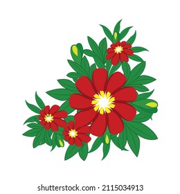Red peony isolated on white background.