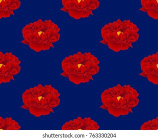 Red Peony on Navy Blue Background. Vector Illustration.