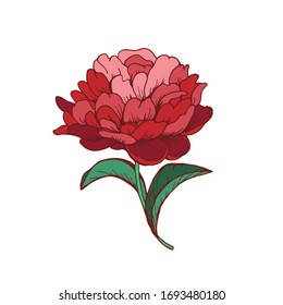rote Vektorillustration, einzeln auf weißem Hintergrund. Design Grußkarte und Einladung der Hochzeit, Geburtstag, Valentinstag, Muttertag und andere Feiertage.