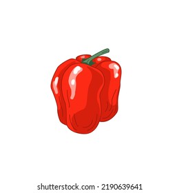 Red pepper in cartoon style with stroke isolated on the white background