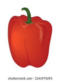 red pepper fresh vegetable icon isolated