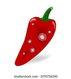 Red Pepper fruit are damaged by Anthracnose (blight disease) or Colletotrichum Fungi. Pathogens cause to rot, black circular wound, sagged and wither. Design on white background