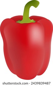 a red pepper with a green stem realistic vector illustration
