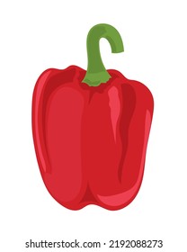 red pepper icon flat isolated
