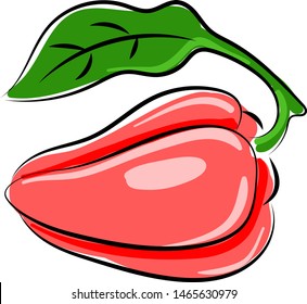 Red pepper, illustration, vector on white background.