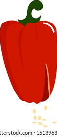 Red pepper, illustration, vector on white background.
