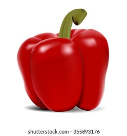 Red pepper isolated on transparent background, sweet paprika, vegetable, healthy food, spice. Vector illustration