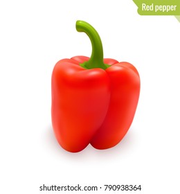 Red pepper isolated on white background. Realistic vegetable. Vector illustration.