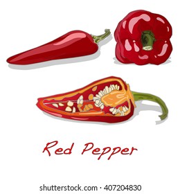 red pepper over white background vector illustration