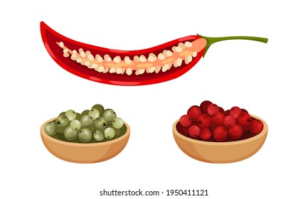 Red Pepper as Ripe Vegetable and Organic Food with Mixed Peppercorn Vector Set