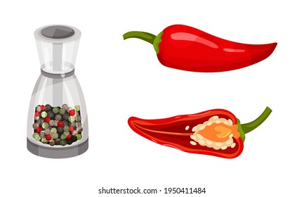 Red Pepper as Ripe Vegetable and Organic Food with Mixed Peppercorn Vector Set