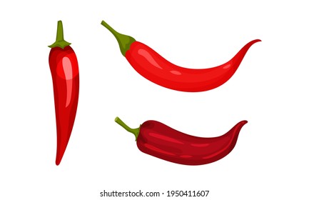 Red Pepper as Ripe Vegetable and Organic Food Vector Set