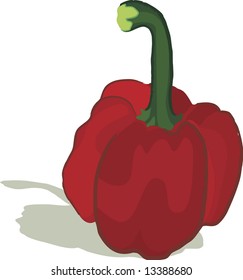 Red pepper still life drawing.