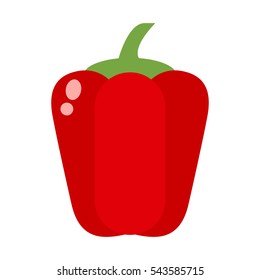 Red pepper vegetable food flat vector illustration.
