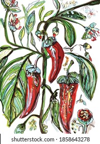 Red peppers hot nature plant vector flowers garden fresh organic