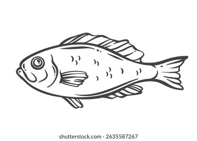 Red perch outline drawing in doodle style. Edible sea fish used in grilled, fried, and baked dishes. Seafood element for menus, recipes, and packaging. Vector illustration