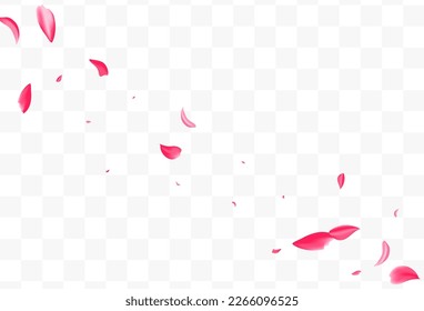 Red Petal Blur Vector Transparent Background. Japanese Cherry Texture. Beautiful Blossom Falling Pattern. Pink Peach Beauty Poster.