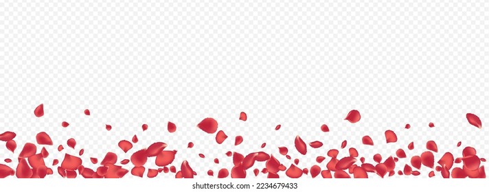 Red Petal Fall Vector Panoramic Transparent Background. Beauty Blossom Poster. Beautiful Cherry Tender Cover. Pink Floral Japan Template.
