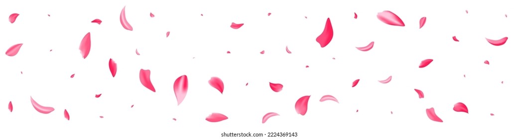 Fondo Panorámico Blanco Del Vector De Caída De Petal Rojo. Plantilla de la Rosa de Licitación. Hermoso patrón de verano de cerezos. Marco De Primavera Floral Rosa.