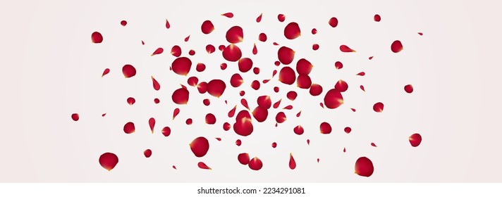 Red Petal Falling Vector Panoramic White Background. Blur Sakura Cover. Beautiful Floral Fall Frame. Pink Peach Flying Texture.