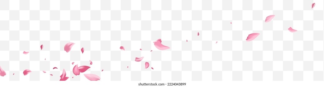 Red Petal Falling Vector Transparent Panoramic Background. Blur Cherry Wallpaper. Beautiful Flower Beauty Poster. Delicate Blossom Spring Cover.