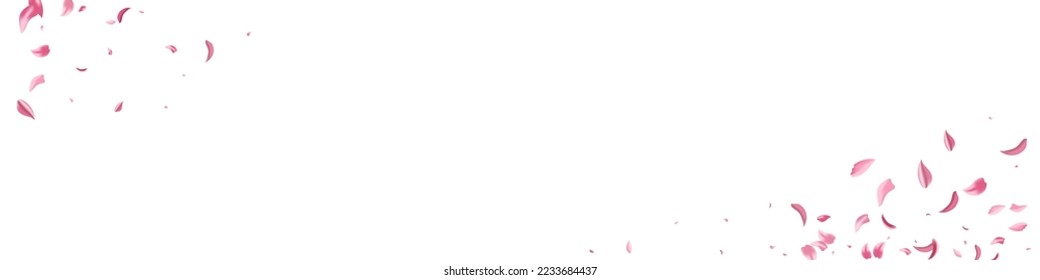 Red Petal Japan Vector White Panoramic Background. Fly Floral Poster. Pink Flower Blur Wallpaper. Delicate Rose Spring Texture.