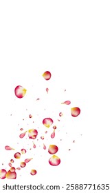 Red Petal Japan Vector White Background. Falling Peach Cover. Beautiful Rose Beauty Pattern. Pink Blossom Summer Texture.