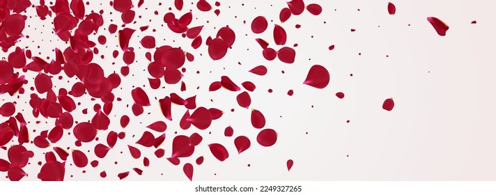 Fondo Panorámico Blanco Del Vector Japonés Petal Rojo. Fondo floral de primavera. Hermosa Textura De Caída De Rosa. Delicada tapa de verano de Lotus.