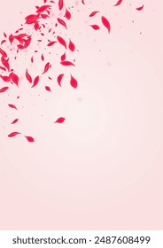 Red Petal Vector Pink Background. Blur Flower Cover. Carmine Sakura Falling Pattern. Scarlet Summer Peach Texture.