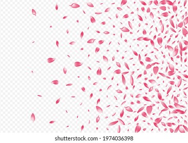 Red Petal Vector Transparent Background. Peach Falling Design. Bloom Sky Banner. Tree Marriage Template. White Leaf Flutter Congratulation.