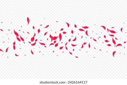 Red Petal Vector Transparent Background. Fly Sakura Design. Delicate Floral Beauty Poster. Pink Tender Blossom Wallpaper.