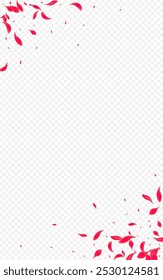 Red Petal Vector Transparent Background. Spring Rose Banner. Beautiful Cherry Flying Frame. Delicate Beauty Peach Poster.