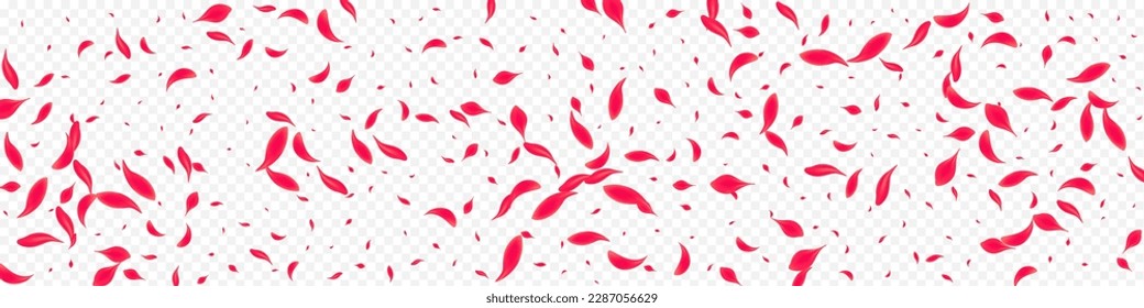 Red Petal Vector Transparent Panoramic Background. Falling Rose Design. Beautiful Peach Fly Texture. Delicate Spring Sakura Pattern.