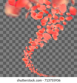 Red petals flying background. A lot of falling petals on transparent background. 