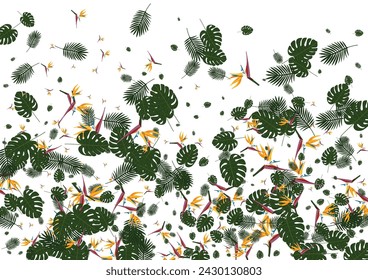 Red Philodendron Background White Vector. Flora Isolated Card. Green Hibiscus. Safari Backdrop. Light Green Spring Frame.