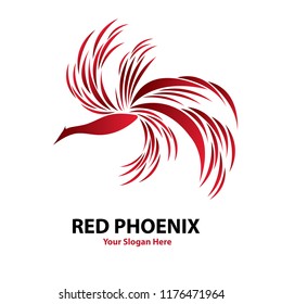 Red Phoenix Illustration Vector Design
