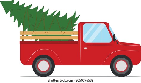 Red pickup truck carries a Christmas tree for Christmas.
A green fir tree is tied to the back of a red pickup truck.