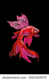 red and pink betta fish with dark background