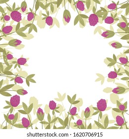 Red or pink clover or Trifolium repens, wild flowers and medicinal herbs. Design for herbal tea, natural cosmetics, perfume, health care products, homeopathy, aromatherapy.