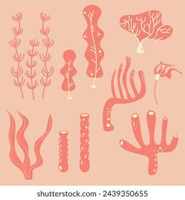 red and pink cute set with algae, corals, marine plants vector illustration